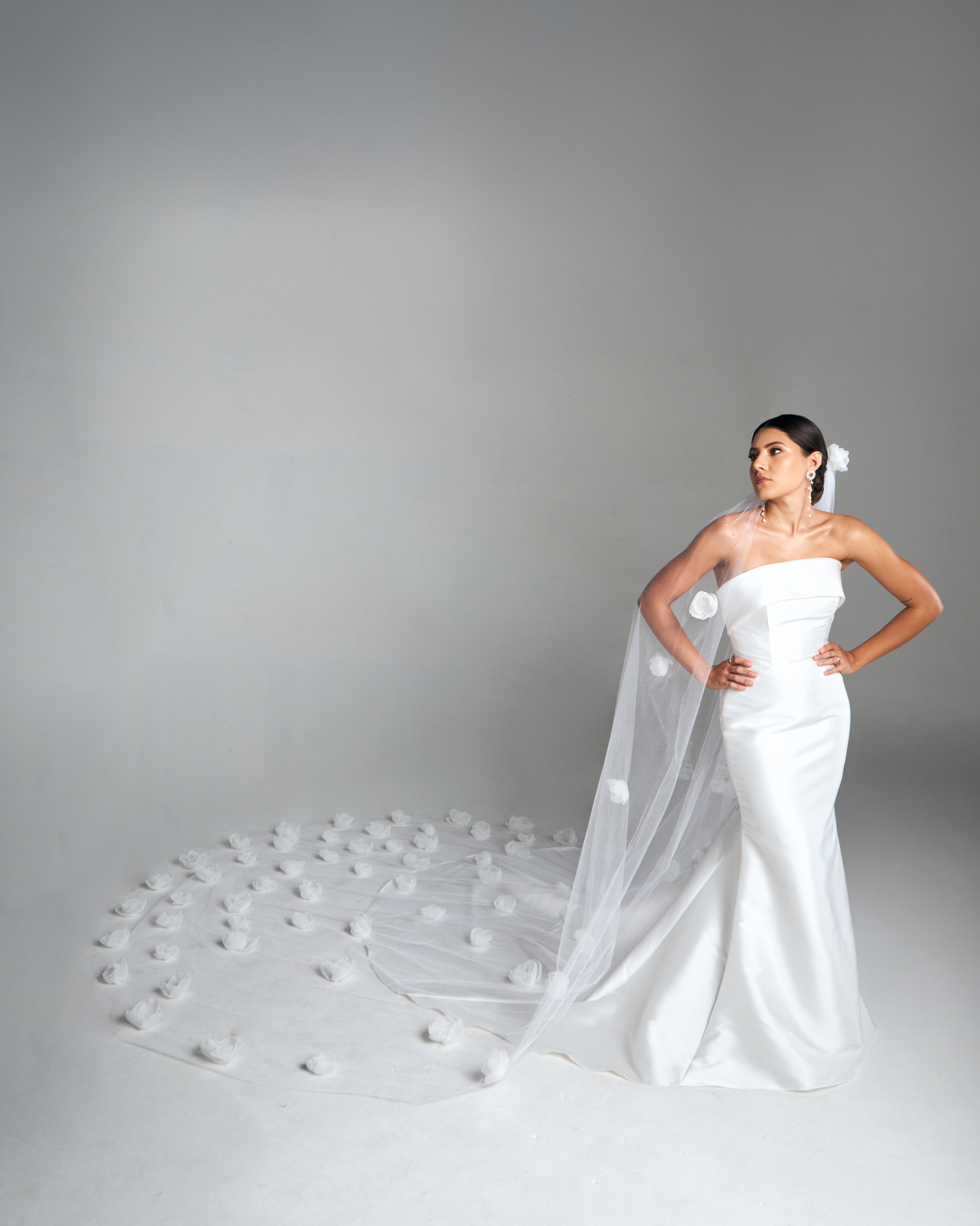 Juliet´s Roses Veil